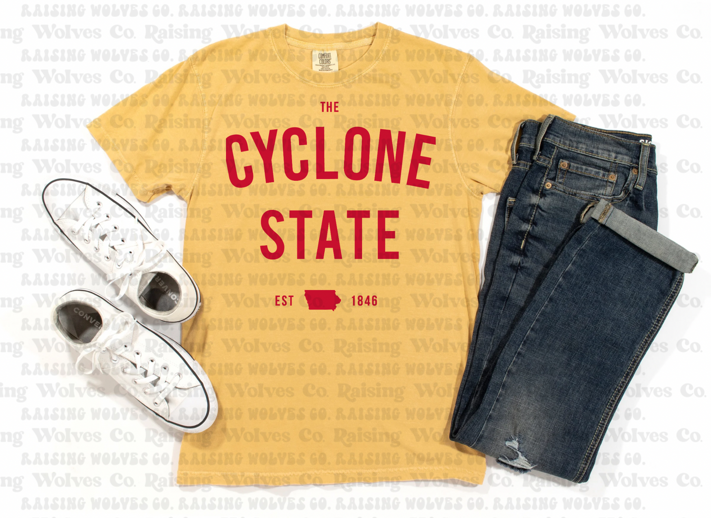 Comfort Colors Tee- state 2