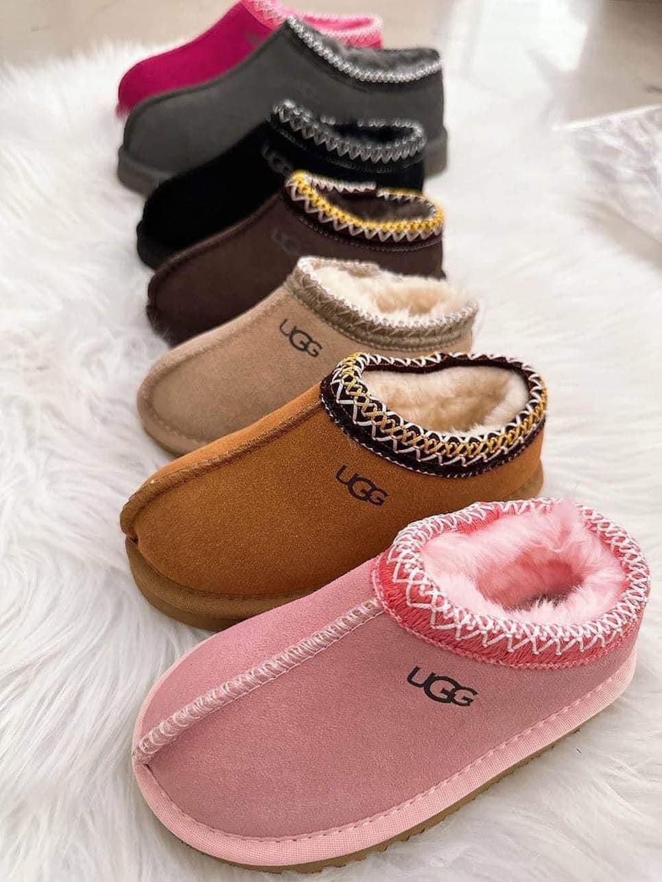 U shoe Adult Taz