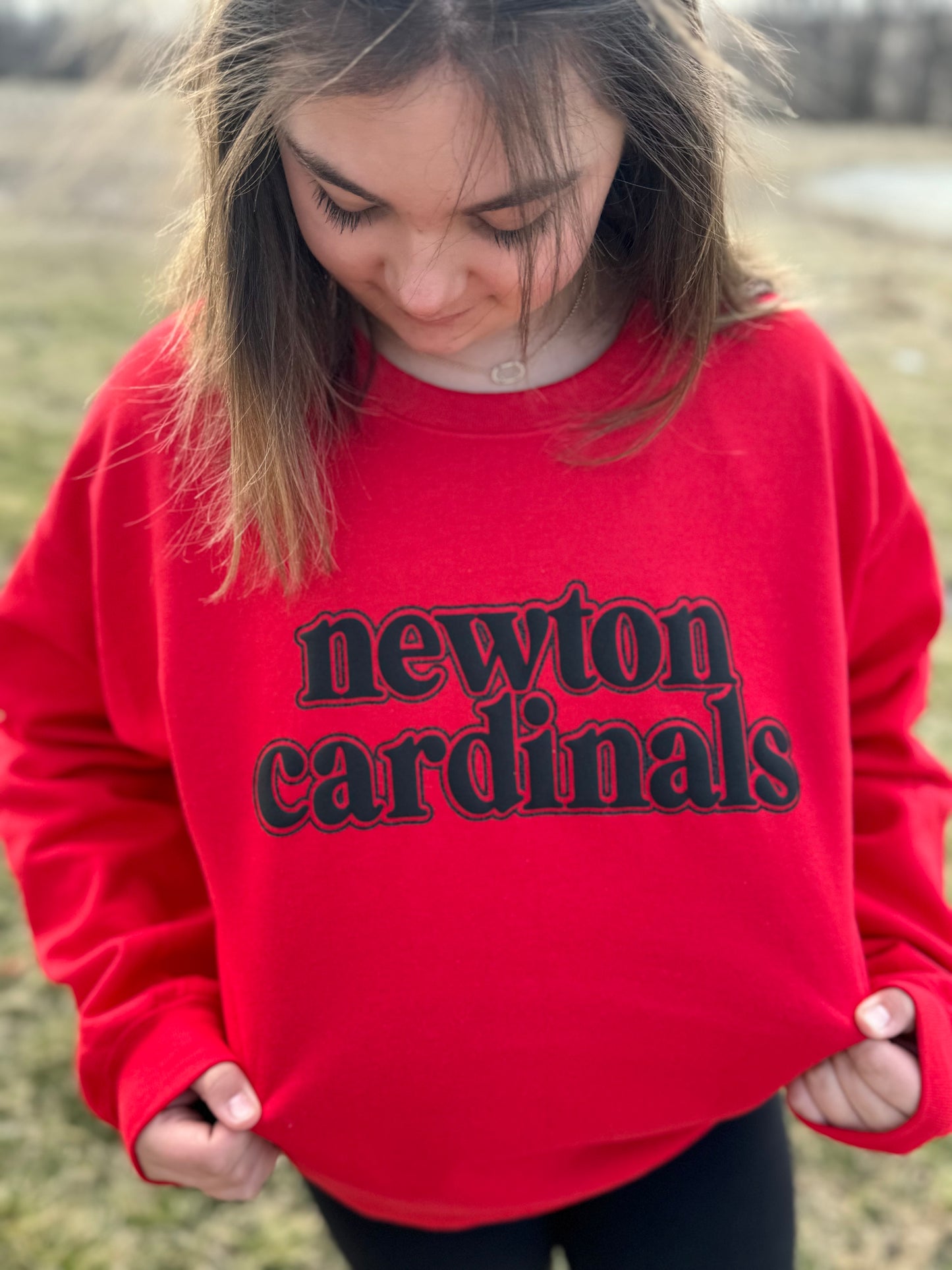 Red and Black Puff/Glitter Newton Cardinals Crewneck