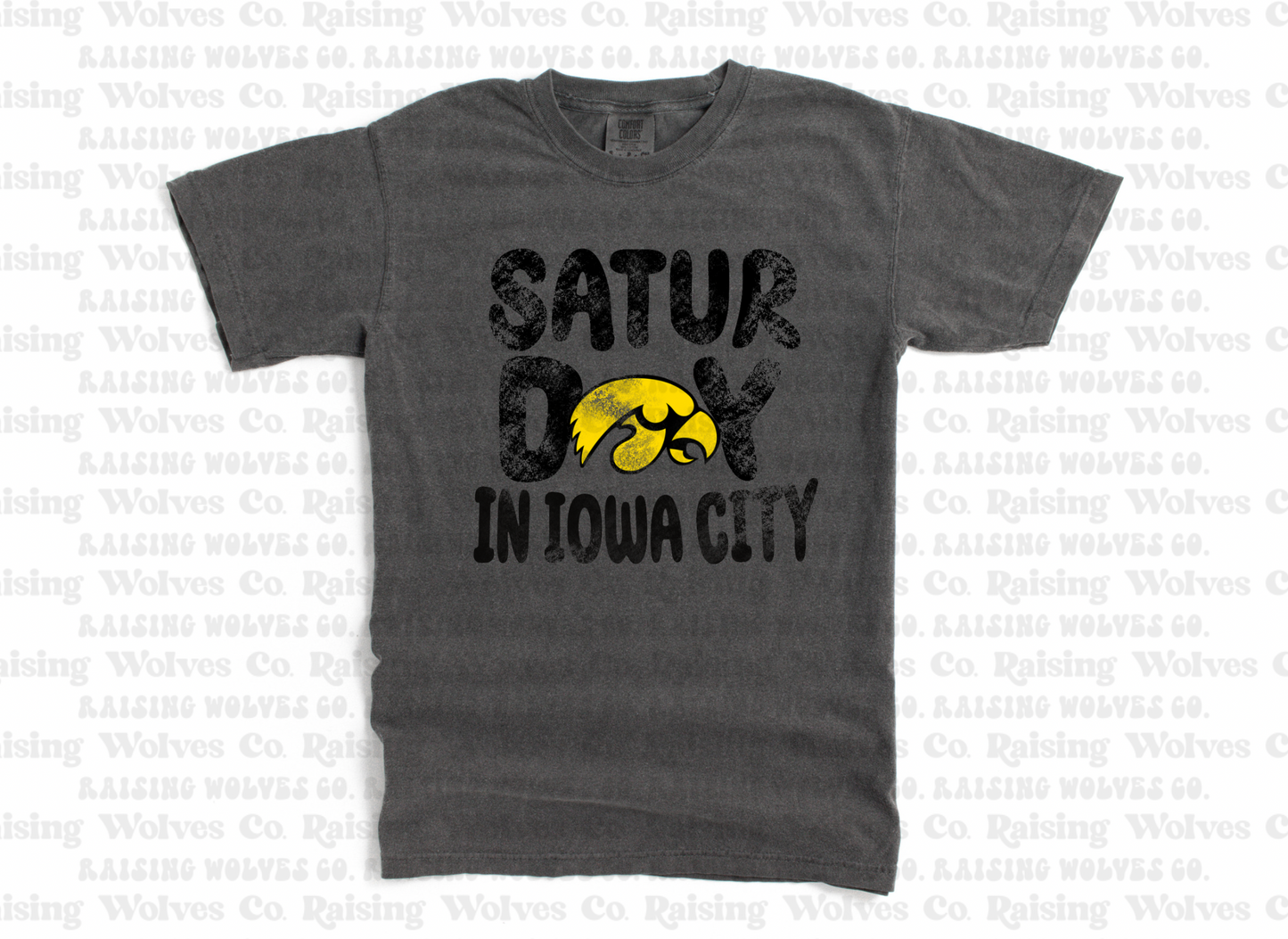 Comfort Colors Tee- Iowa 6