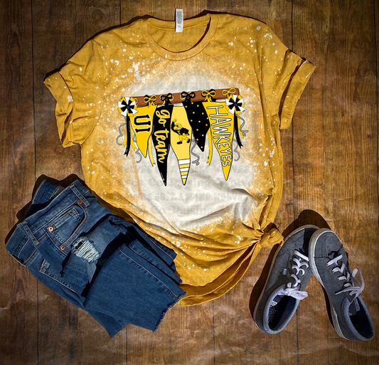 Iowa Pennant Bleached Tee