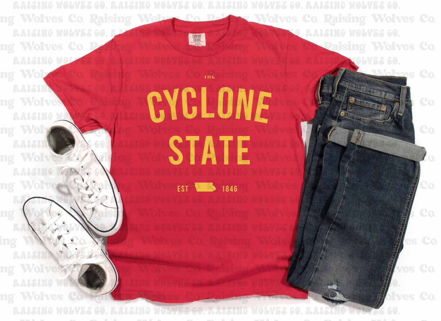 Comfort Colors Tee- state 1