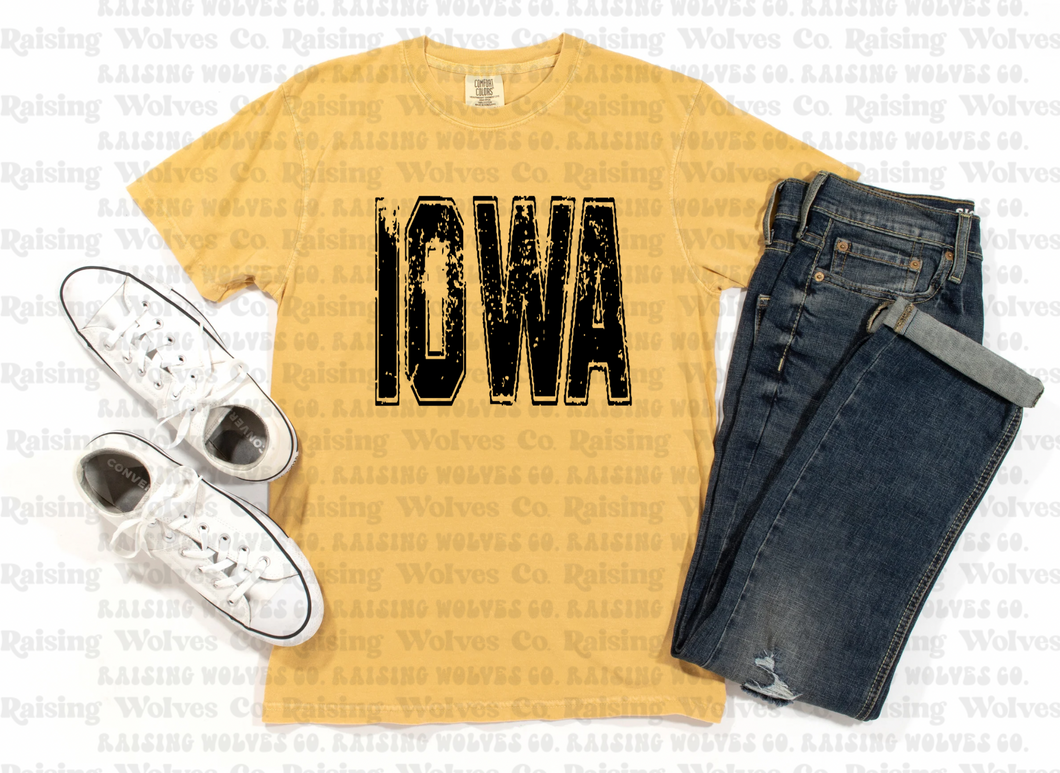 Comfort Colors Tee- iowa 5