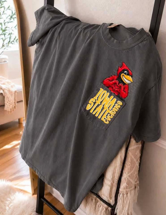 Comfort Colors State Peek-A-Boo  Pocket Tee