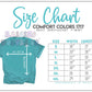 Comfort Colors Tee- state 1