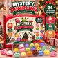 Squishy Advent Calendar- Pre-order